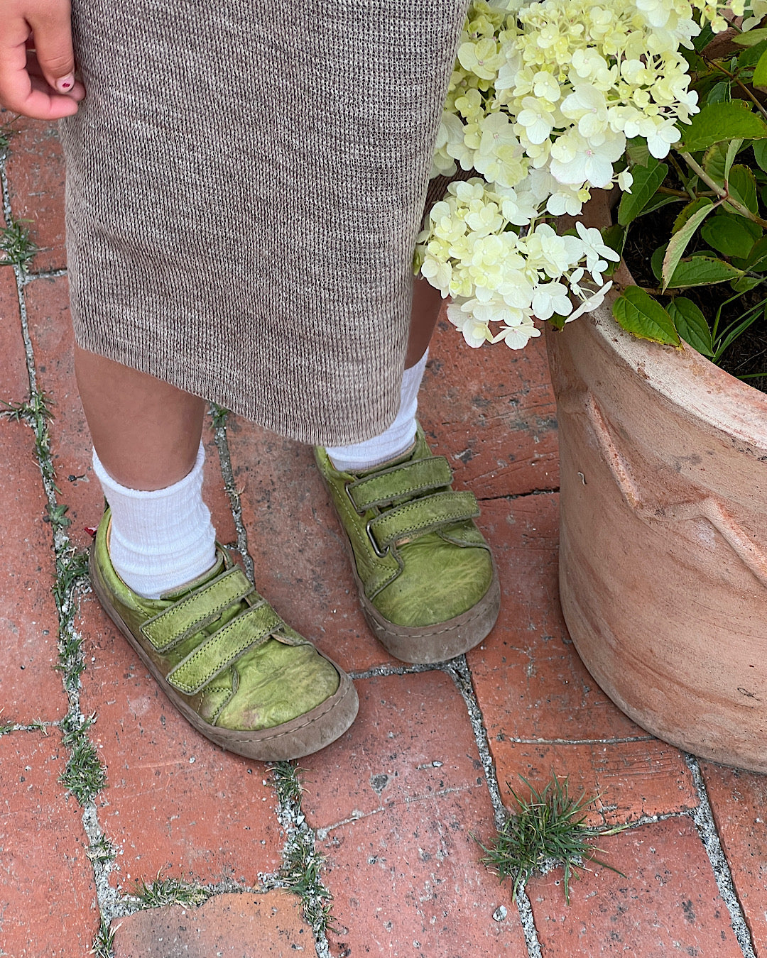 Barefoot Sneaker - green