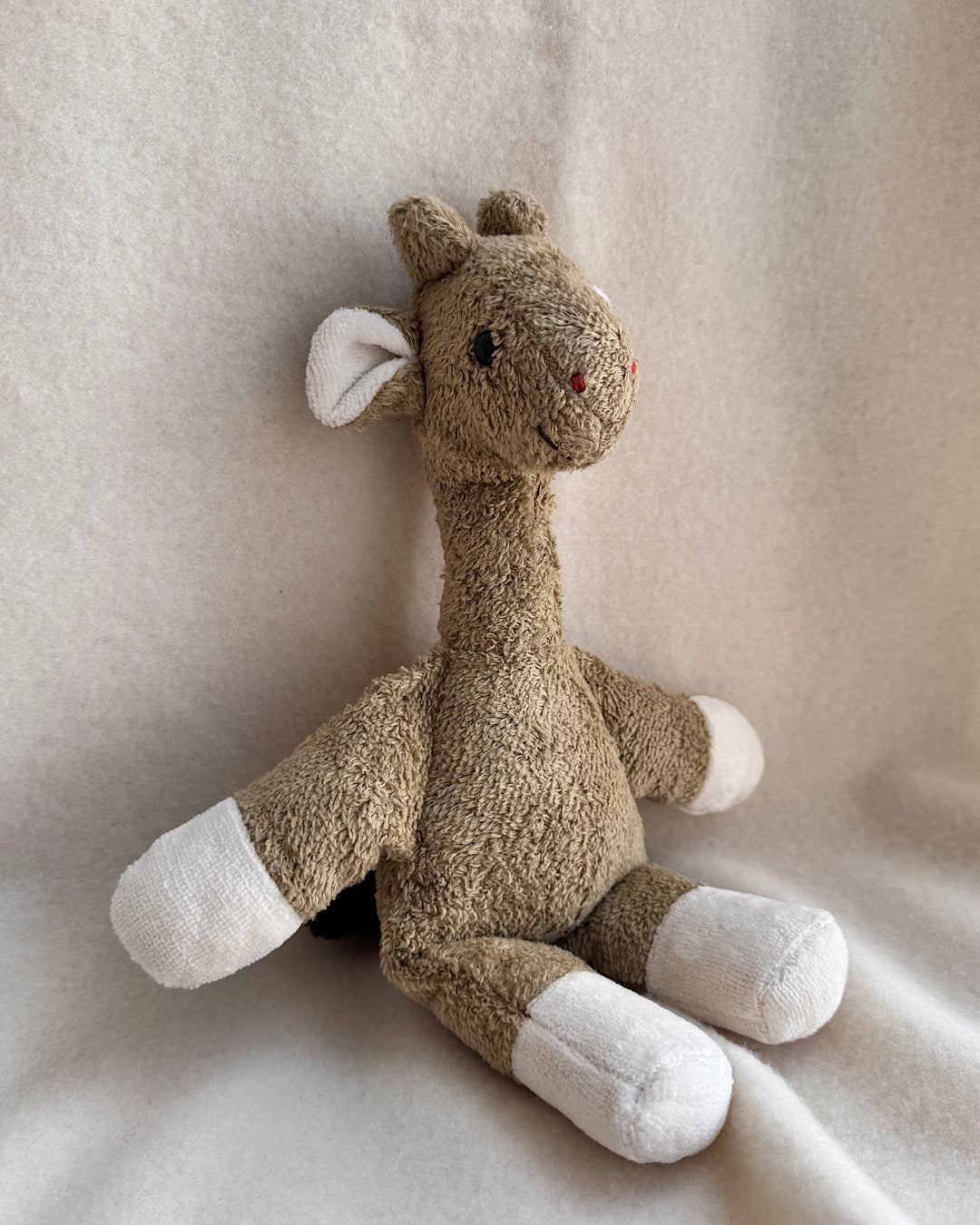 Giraffe "Charlotte"