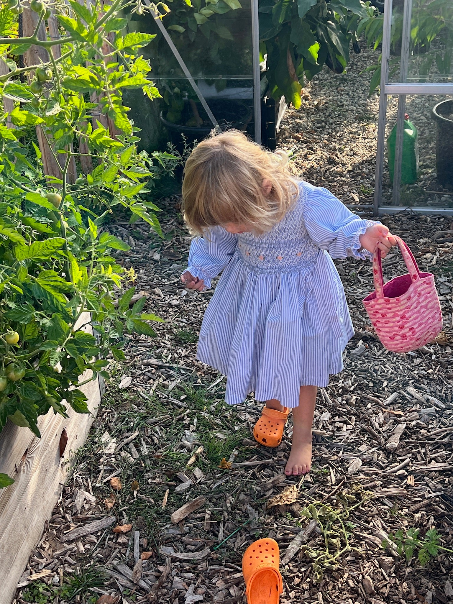 Flower Hermione dress with smock