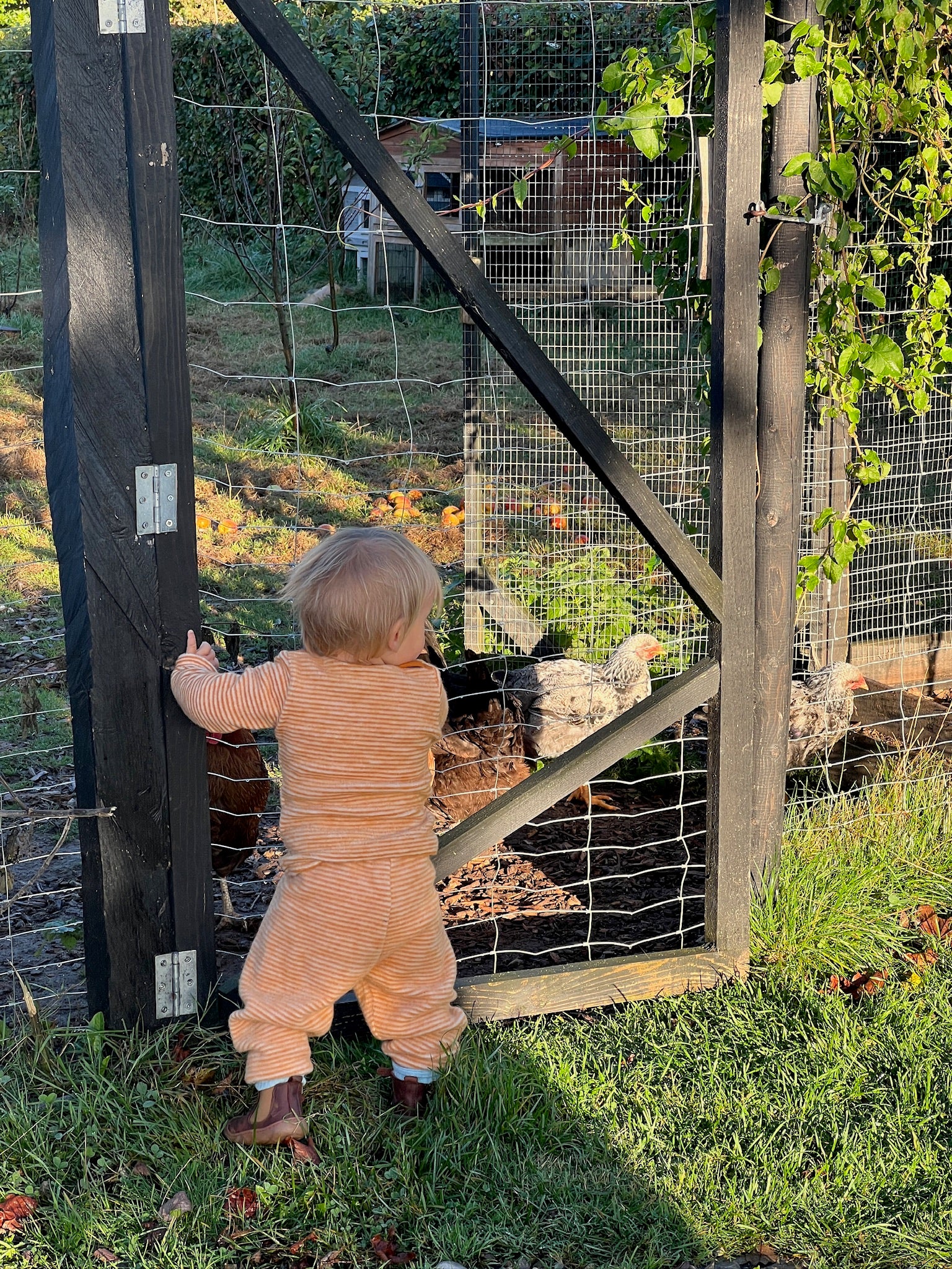 Bluse - safran/natur