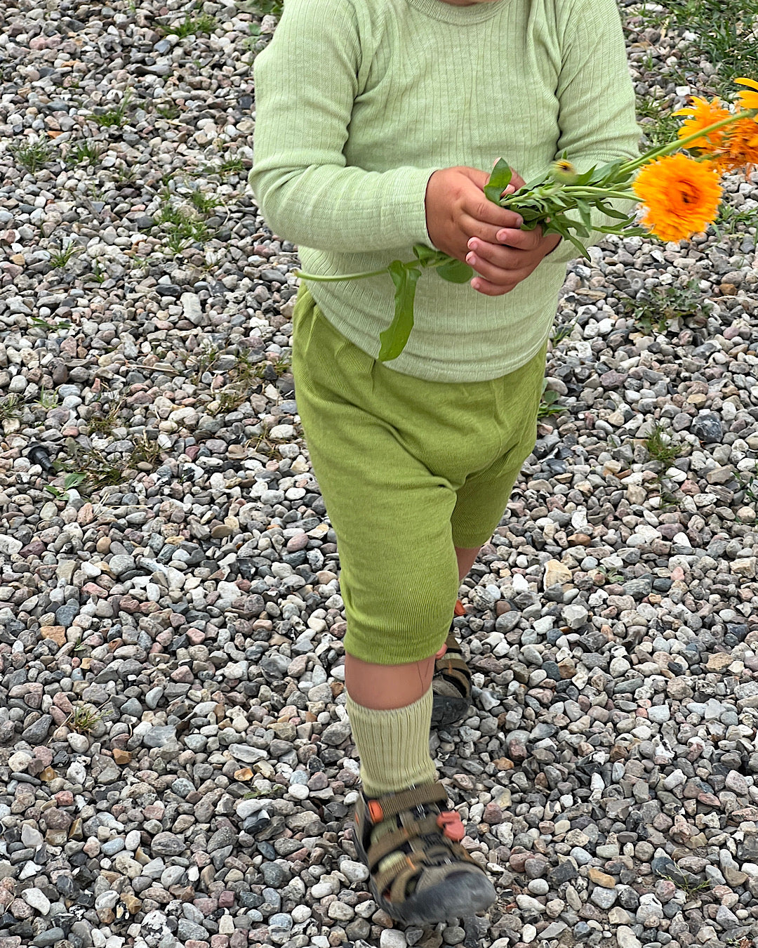 Bermudashorts uld/silke - grøn
