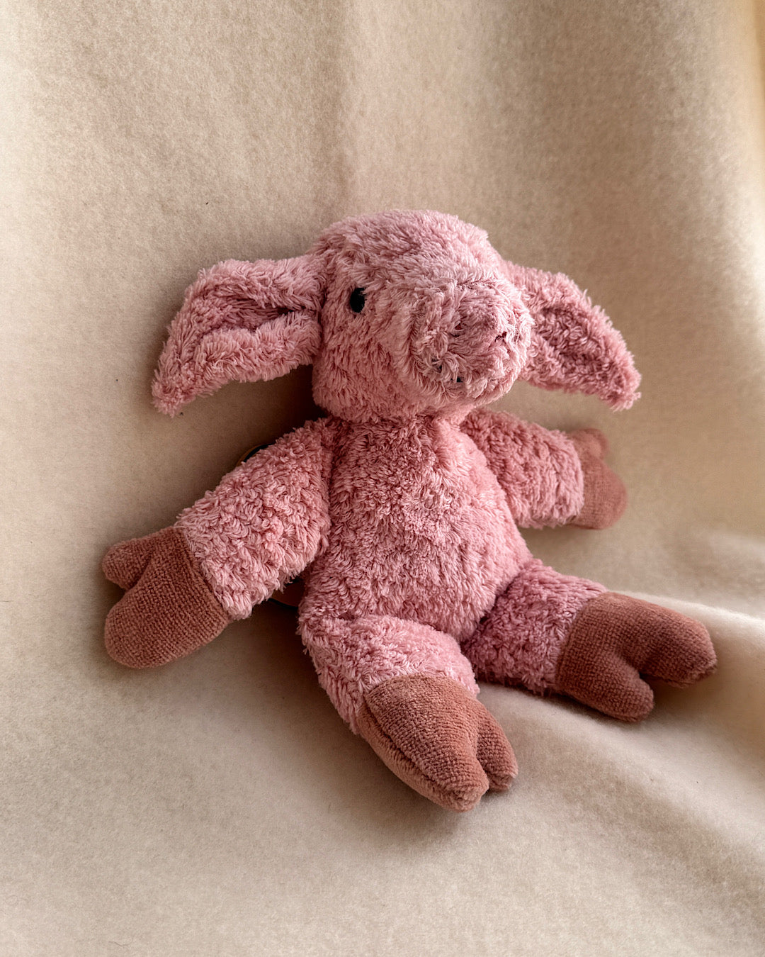 Pig