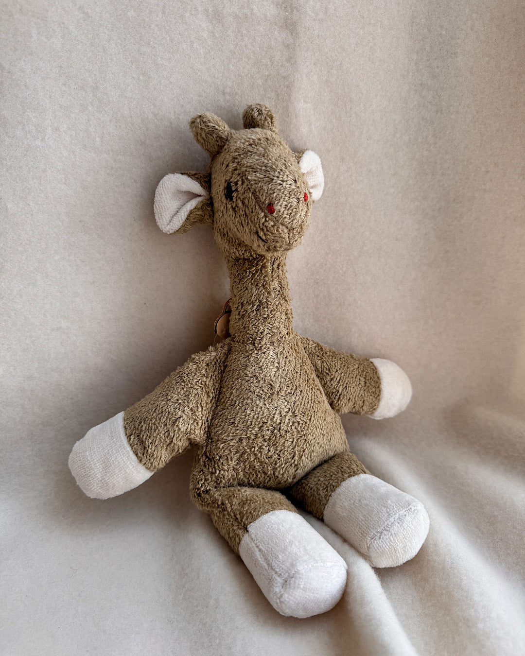 Giraffe "Charlotte"