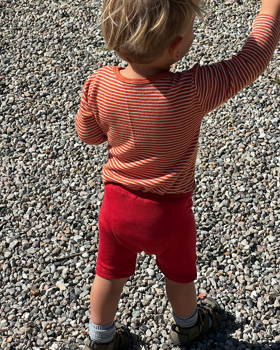 Bermudashorts uld/silke - rød